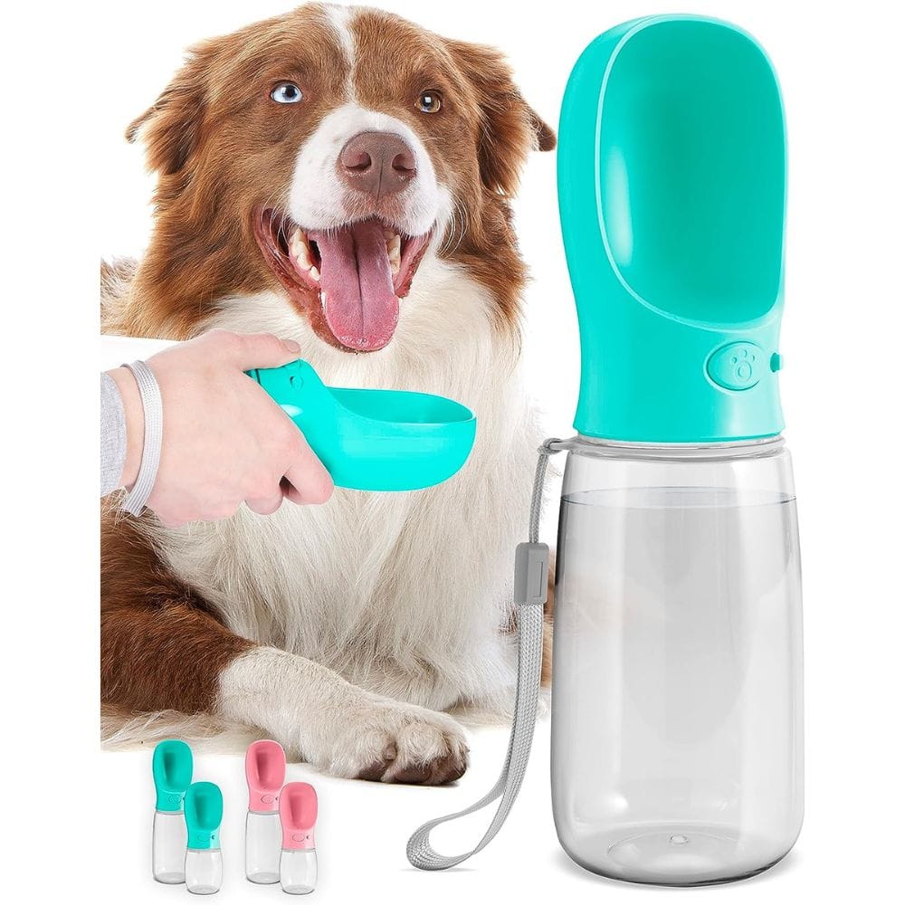 How to Choose the Best Hydrating Dog Water Bottles: Reviewing 5 Dog Water Bottles for your Dog