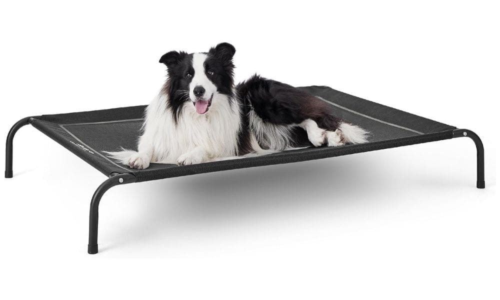 BEDSURE ELEVATED DOG COT