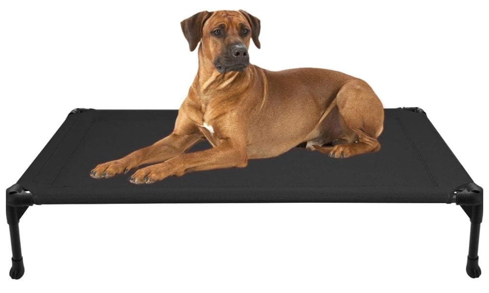 VEEHOO ELEVATED DOG BED