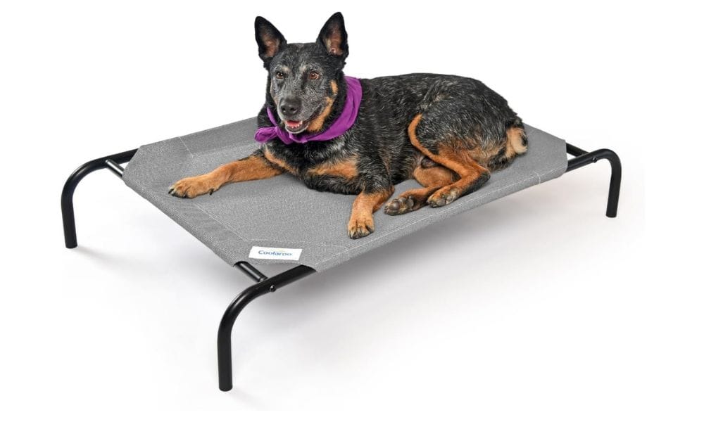 COOLAROO ELEVATED DOG BED